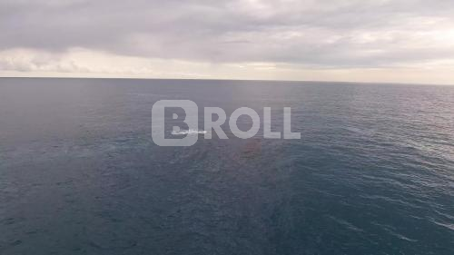 Arquipélago de Abrolhos BA Baleias Jubarte 02