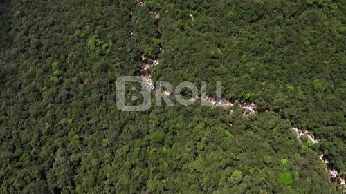 Curitiba PR Ferrovia Curitiba Paranaguá 15 Mata Atlântica