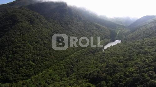 Curitiba PR Ferrovia Curitiba Paranaguá 16 Mata Atlântica
