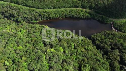Curitiba PR Ferrovia Curitiba Paranaguá 17 Mata Atlântica