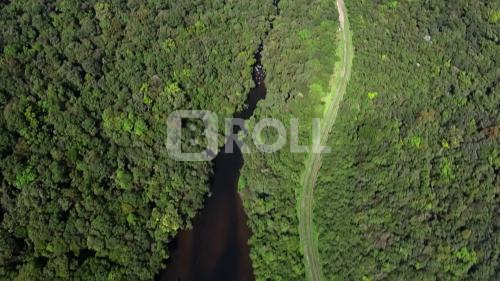 Curitiba PR Ferrovia Curitiba Paranaguá 18 Mata Atlântica