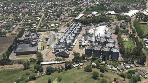 Alegrete Rio Grande do Sul RS 2019
