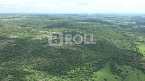Alegrete Rio Grande do Sul RS 2019