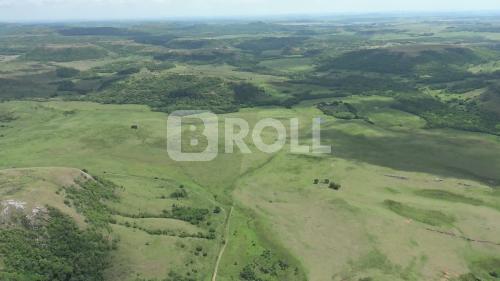 Alegrete Rio Grande do Sul RS 2019