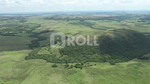 Alegrete Rio Grande do Sul RS 2019