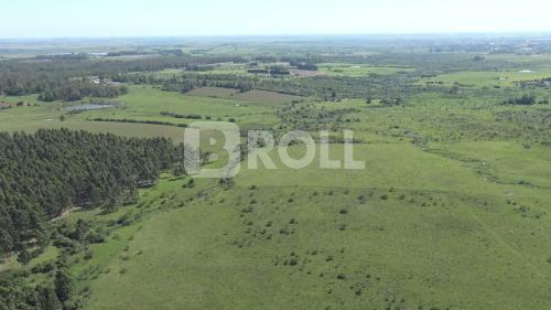 Alegrete Rio Grande do Sul RS 2019