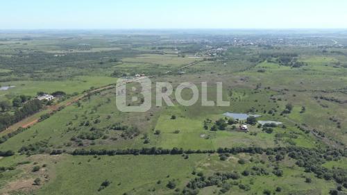Alegrete Rio Grande do Sul RS 2019