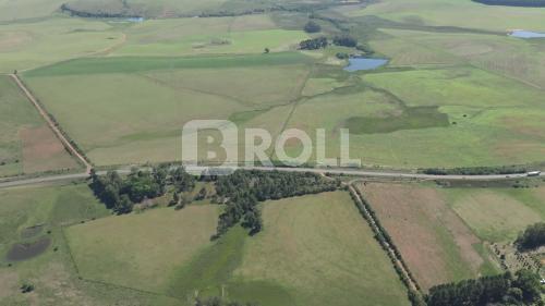 Alegrete Rio Grande do Sul RS 2019