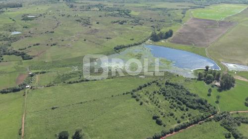 Alegrete Rio Grande do Sul RS 2019