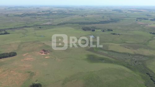 Alegrete Rio Grande do Sul RS 2019