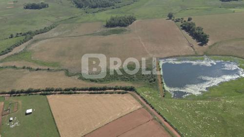 Alegrete Rio Grande do Sul RS 2019