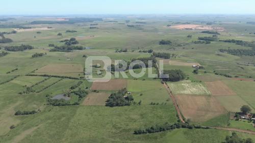 Alegrete Rio Grande do Sul RS 2019