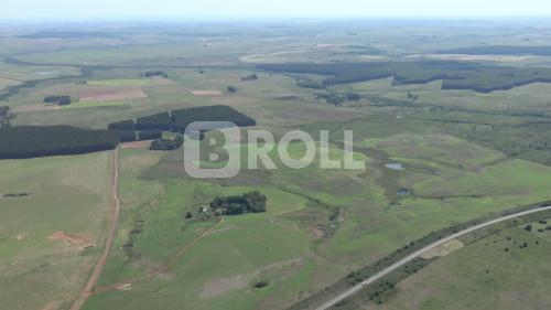 Alegrete Rio Grande do Sul RS 2019