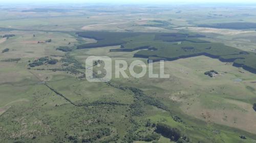 Alegrete Rio Grande do Sul RS 2019