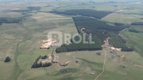 Alegrete Rio Grande do Sul RS 2019