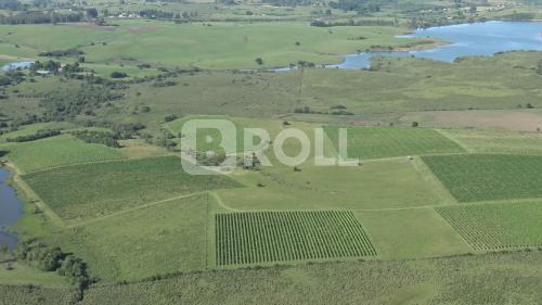 Bagé Rio Grande do Sul RS 2019