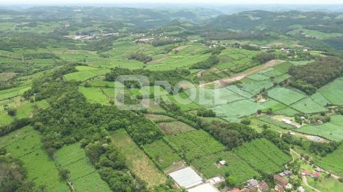 Bento Gonçalves Rio Grande do Sul RS 2019