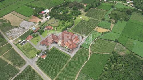 Bento Gonçalves Rio Grande do Sul RS 2019