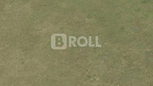Cacequi Rio Grande do Sul RS 2019