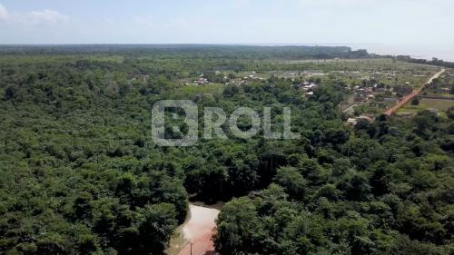 Colares Pará PA Amazônia