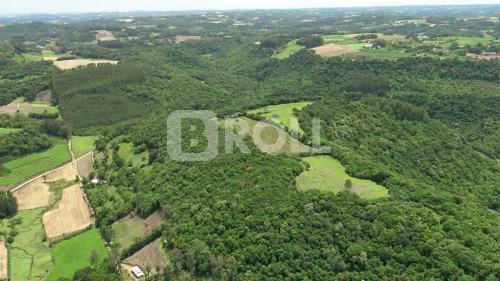 Cotiporã Rio Grande do Sul RS 2019