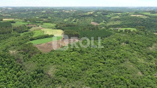 Cotiporã Rio Grande do Sul RS 2019