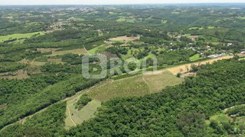 Cotiporã Rio Grande do Sul RS 2019
