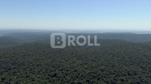Derrubadas Rio Grande do Sul RS 2019