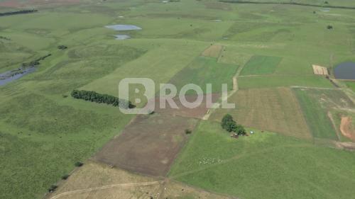 Dom Pedrito Rio Grande do Sul RS 2019
