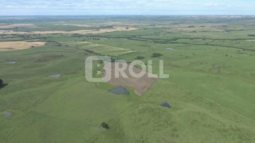 Dom Pedrito Rio Grande do Sul RS 2019