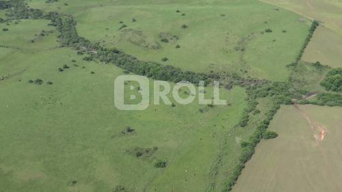 Dom Pedrito Rio Grande do Sul RS 2019