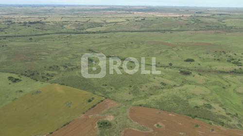 Dom Pedrito Rio Grande do Sul RS 2019