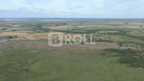 Dom Pedrito Rio Grande do Sul RS 2019