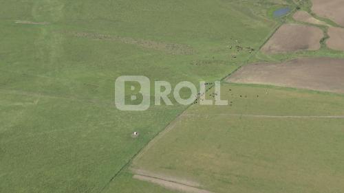 Dom Pedrito Rio Grande do Sul RS 2019