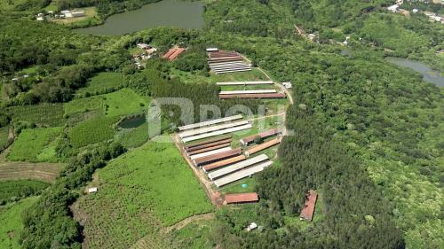 Farroupilha Rio Grande do Sul RS 2019