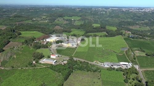 Farroupilha Rio Grande do Sul RS 2019