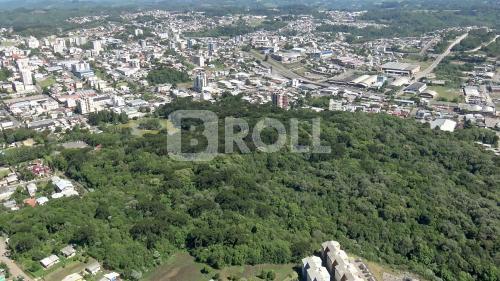 Flores da Cunha Rio Grande do Sul RS 2019