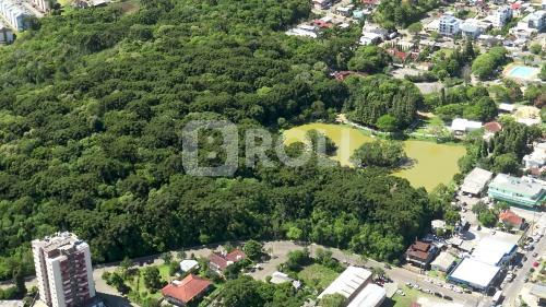 Flores da Cunha Rio Grande do Sul RS 2019