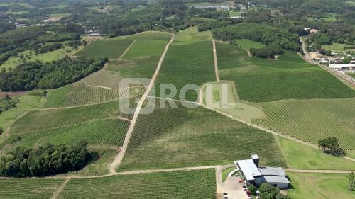 Flores da Cunha Rio Grande do Sul RS 2019