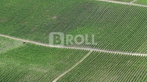 Flores da Cunha Rio Grande do Sul RS 2019