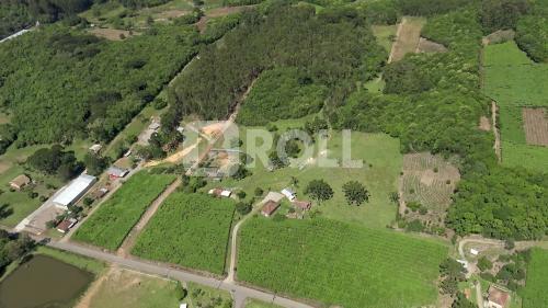 Flores da Cunha Rio Grande do Sul RS 2019
