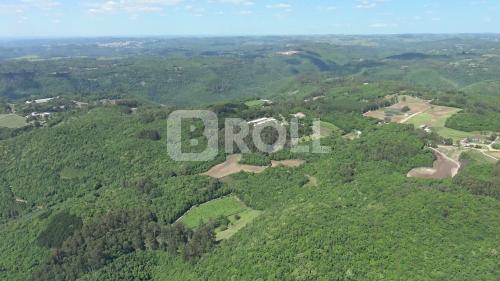 Flores da Cunha Rio Grande do Sul RS 2019