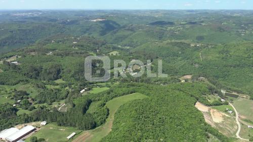 Flores da Cunha Rio Grande do Sul RS 2019