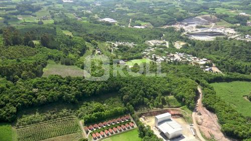 Flores da Cunha Rio Grande do Sul RS 2019