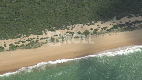 Linhares Espírito Santo ES Reserva Biológica de Comboios