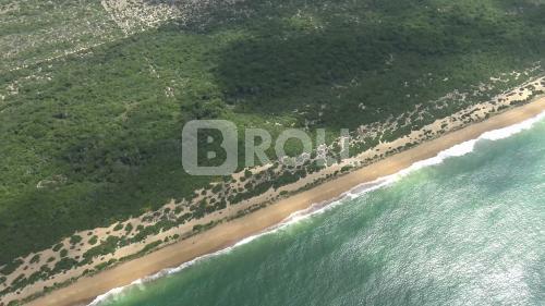 Linhares Espírito Santo ES Reserva Biológica de Comboios