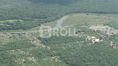 Linhares Espírito Santo ES Reserva Biológica de Comboios