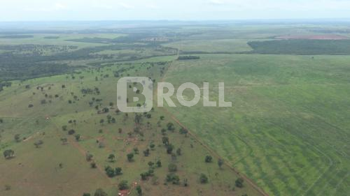 Mato Grosso do Sul MS Área Rural Agricultura