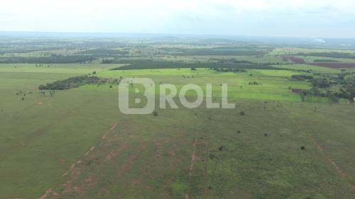 Mato Grosso do Sul MS Área Rural Agricultura