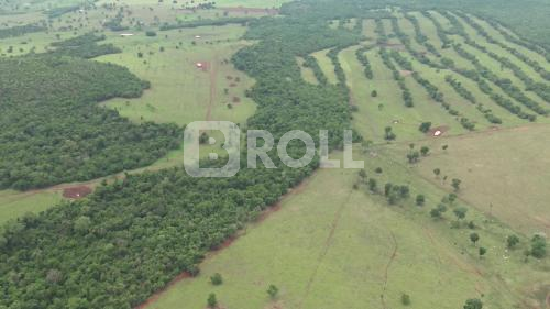 Mato Grosso do Sul MS Área Rural Agricultura
